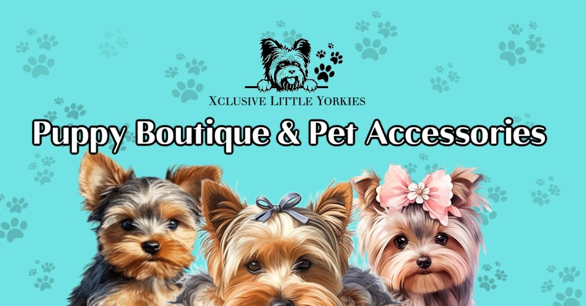 Puppy boutique hot sale available puppies